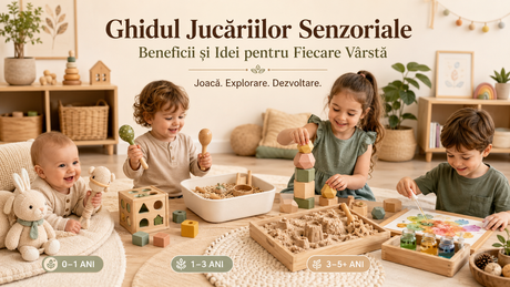 Ghidul Jucăriilor Senzoriale: Beneficii și Idei pentru Fiecare Vârstă