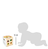 Cub cu Forme Curcubeu – Jucărie Clasică din Lemn cu 13 Piese de Introdus, 2-în-1: Piesele se Folosesc și ca Cuburi de Construit