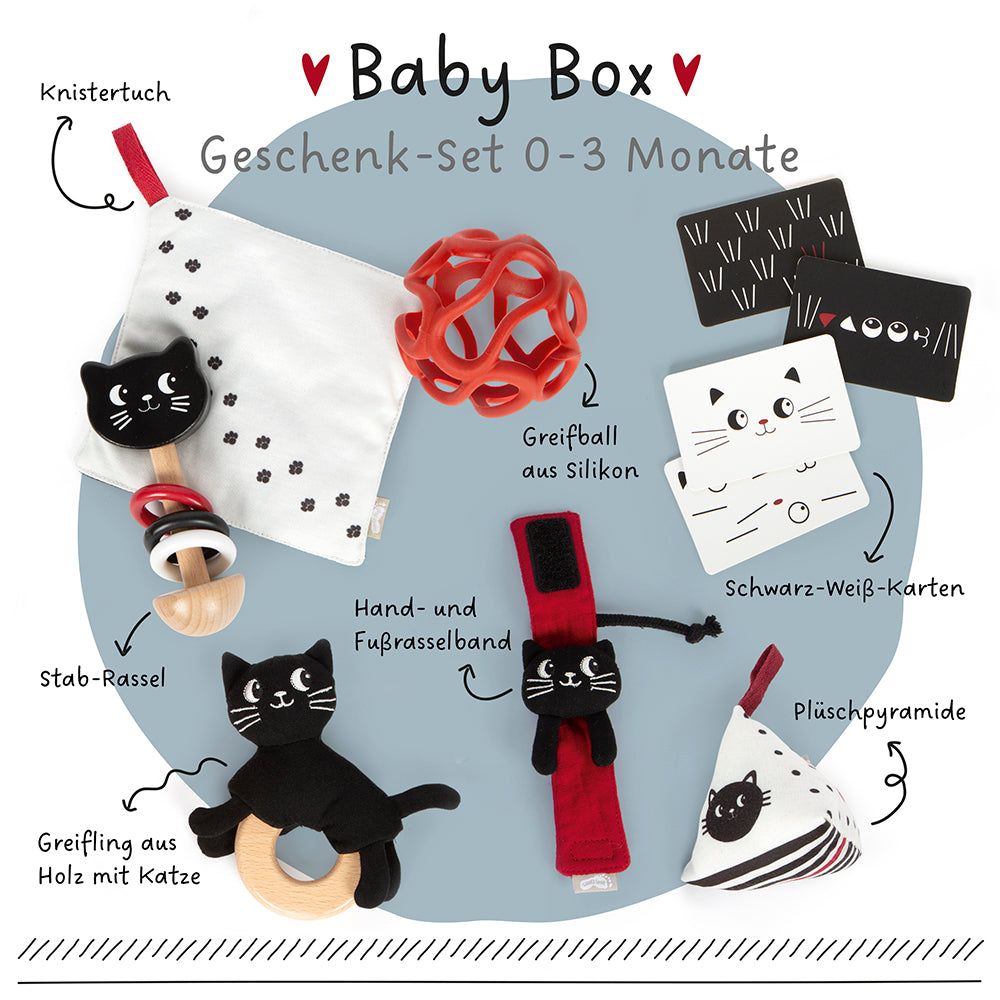 Prezentarea componentelor Baby Box 0–3 luni