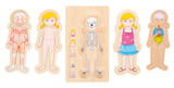 Puzzle Straturi Anatomie Fetiță Small Foot – Joc Educativ din Lemn pentru Copii, 4-în-1 cu Straturi Succesive, Învață Schelet